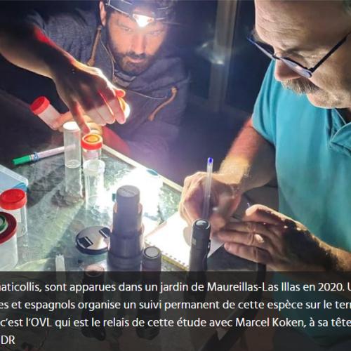 Capture d'écran 2024-07-10 165624