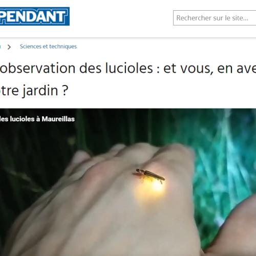 Capture d'écran 2024-07-10 171021