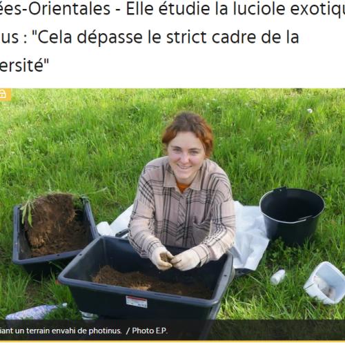 Capture d'écran 2024-07-10 171326