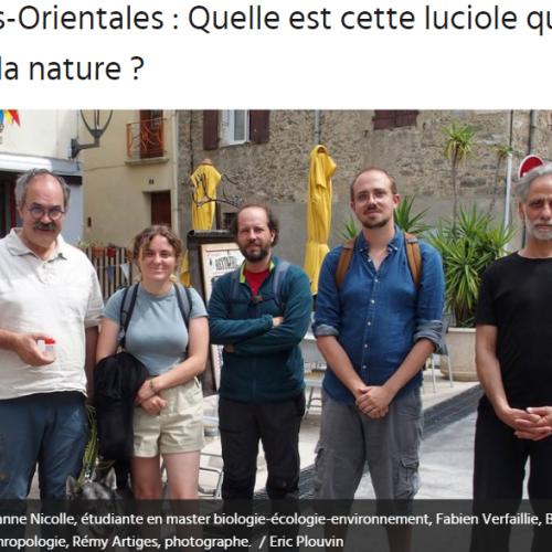 Capture d'écran 2024-07-10 171501