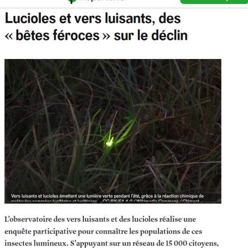 Capture d'écran 2024-07-11 175937