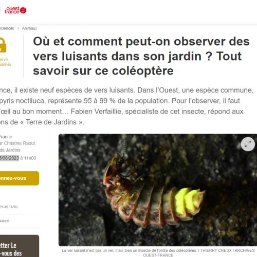 Capture d'écran 2024-07-11 182258