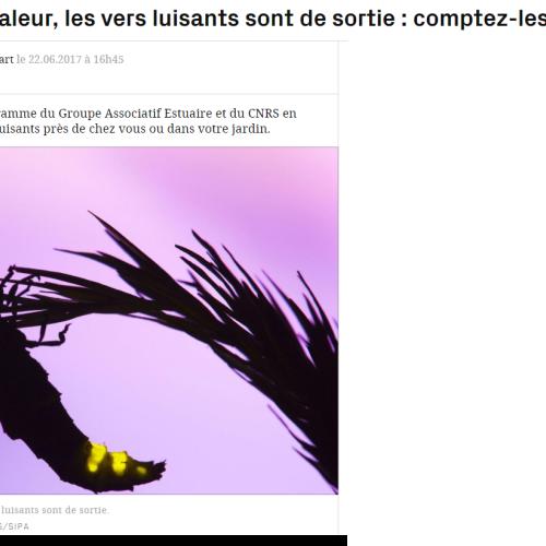 Capture d’écran 2024-07-11 205539