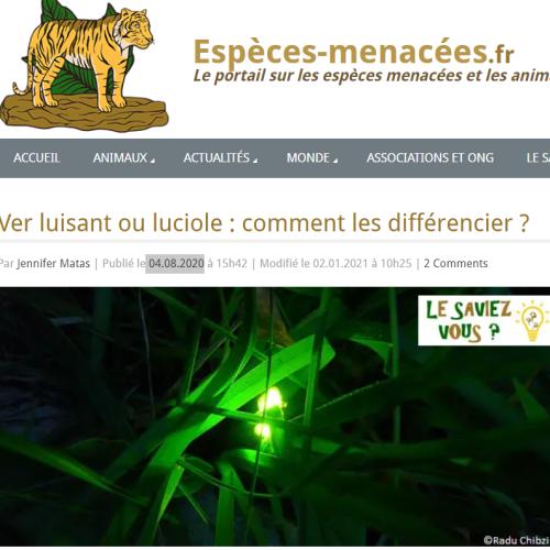 Capture d'écran 2024-07-11 211853