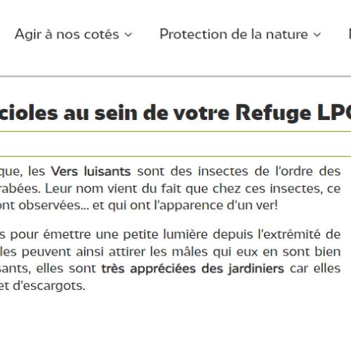 Capture d'écran 2024-07-11 212639