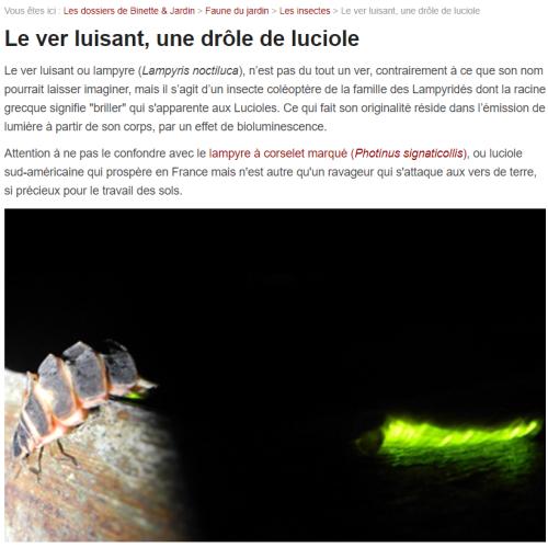 Capture d'écran 2024-07-11 214926