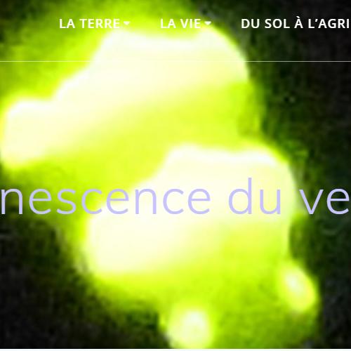 Capture d'écran 2024-07-12 114244