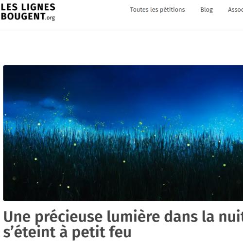 Capture d'écran 2024-07-12 120124