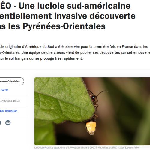 Capture d'écran 2024-07-13 161348