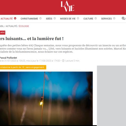 Capture d’écran 2024-07-13 173646