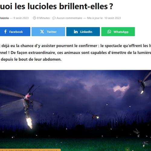 Capture d'écran 2024-07-13 191743