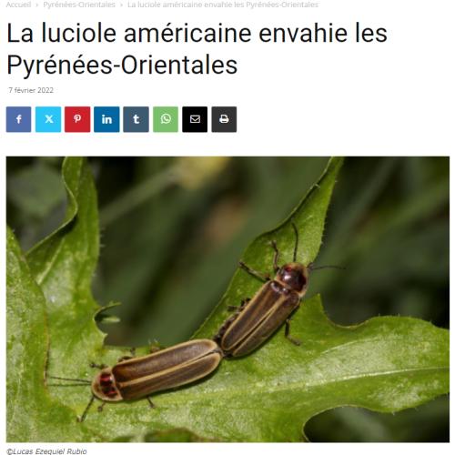 Capture d'écran 2024-07-13 192337