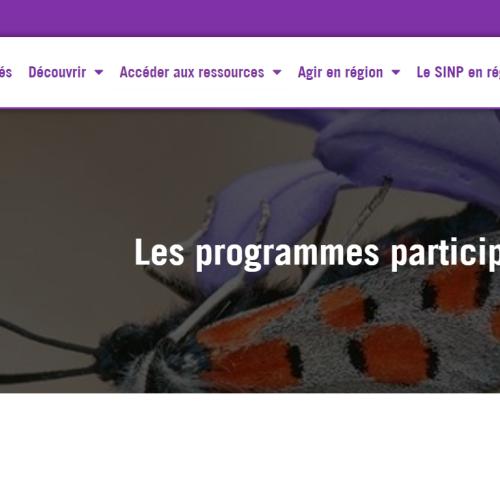 Capture d'écran 2024-07-13 193203