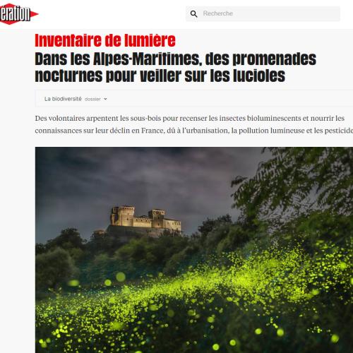 Capture d'écran 2024-07-15 111827