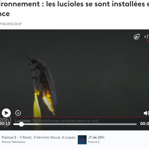 Capture d'écran 2024-07-18 161354