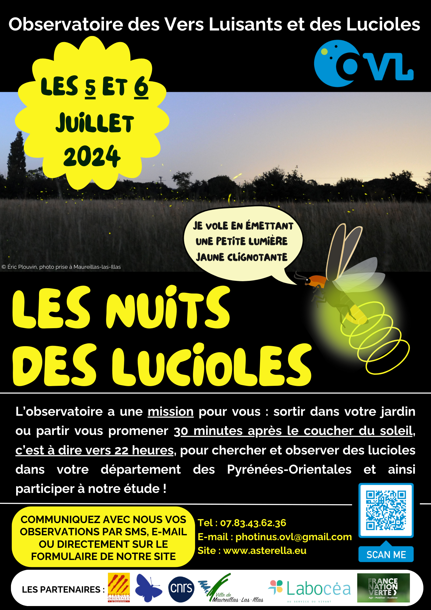 Affiche les nuits des lucioles (Document (A4))