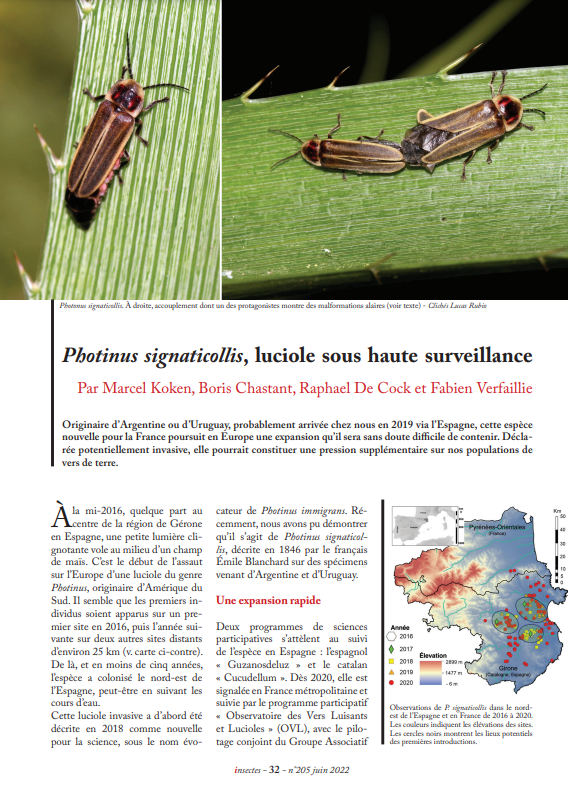 Capture d'écran 2024-07-13 162625