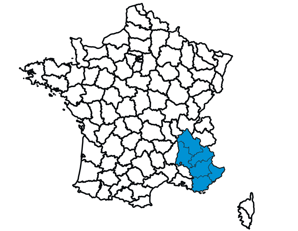 laprohiza boieldieui